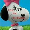 rosasalazar714